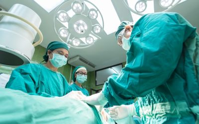 Les Parapharmacies : Le Nouveau Paradis des Plantes Médicinales